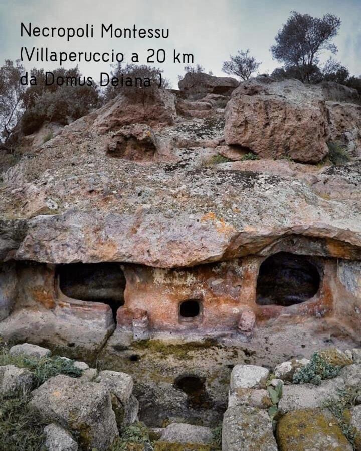 Domus Deiana Case Vacanza Сан-Джованни-Суерджу Экстерьер фото